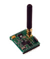 Radiotronix Wi232DTS Module